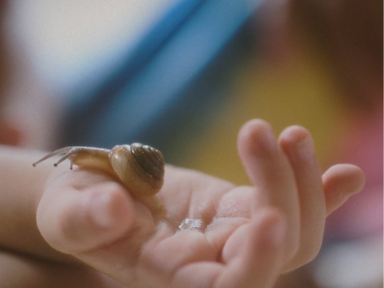 Charmaine Poh What’s softest in the world rushes and runs over what’s hardest in the world, 2024 Video Still