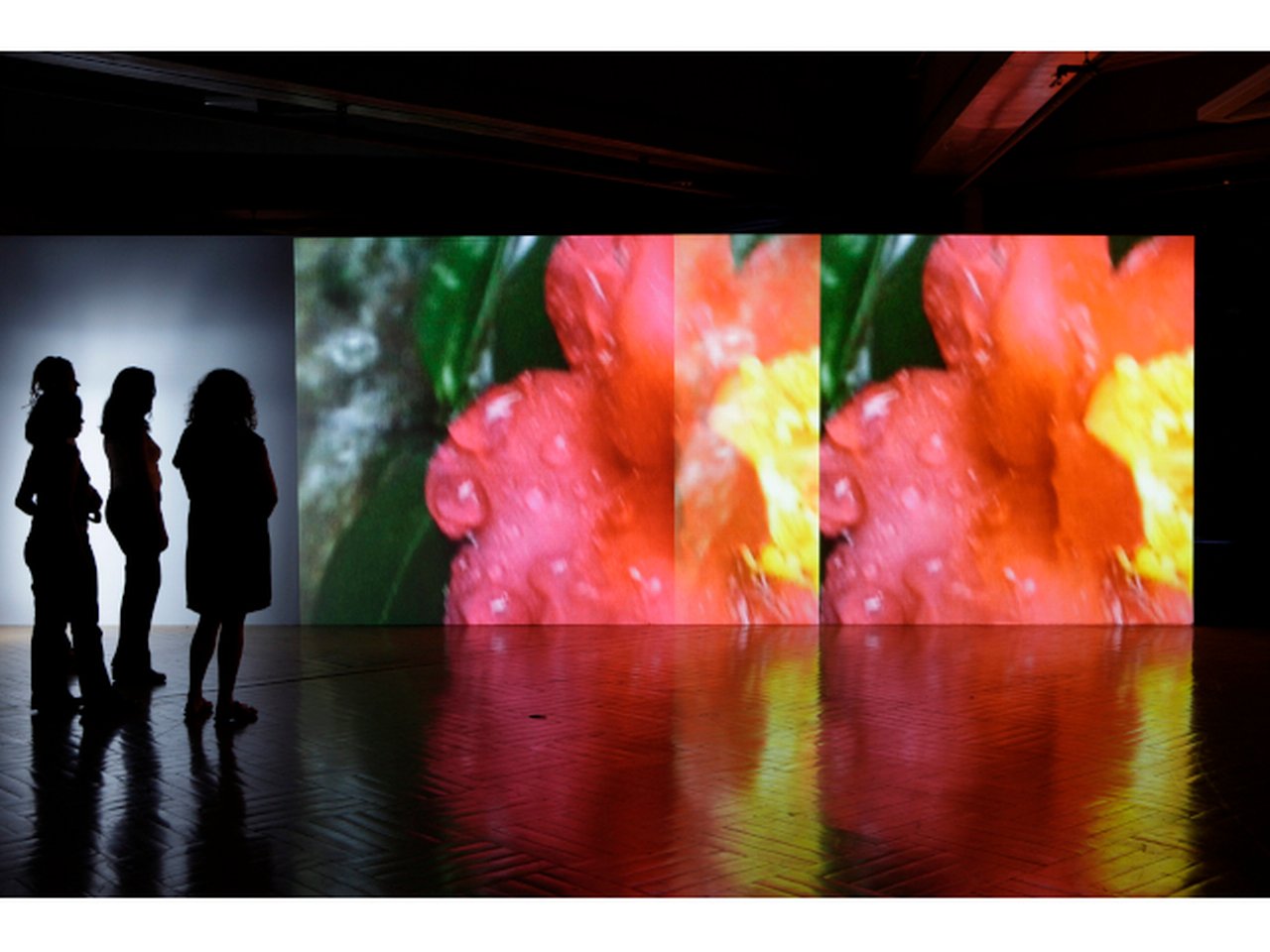 Pipilotti Rist, Supersubjektiv, 2001
