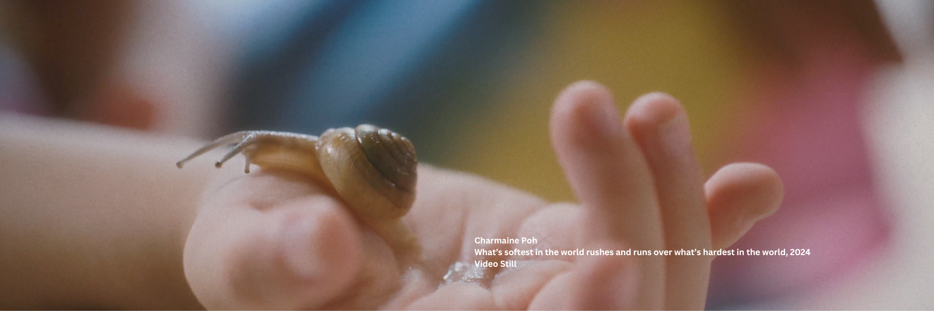 Snail in the hand
